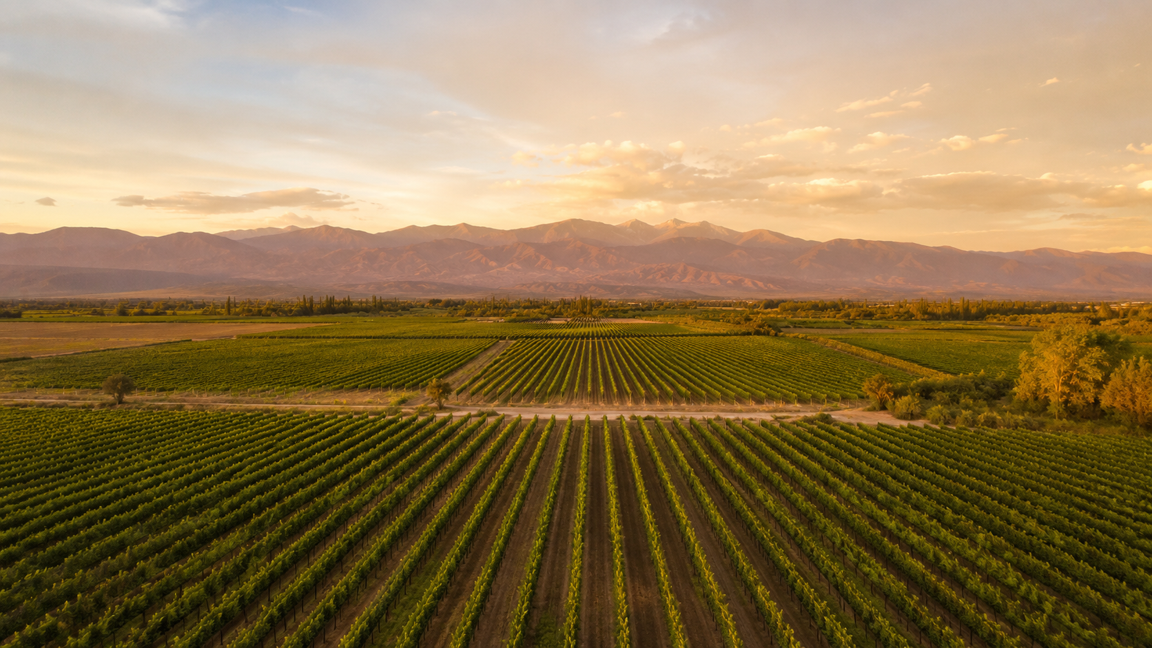 Propiedad en San Rafael, Mendoza