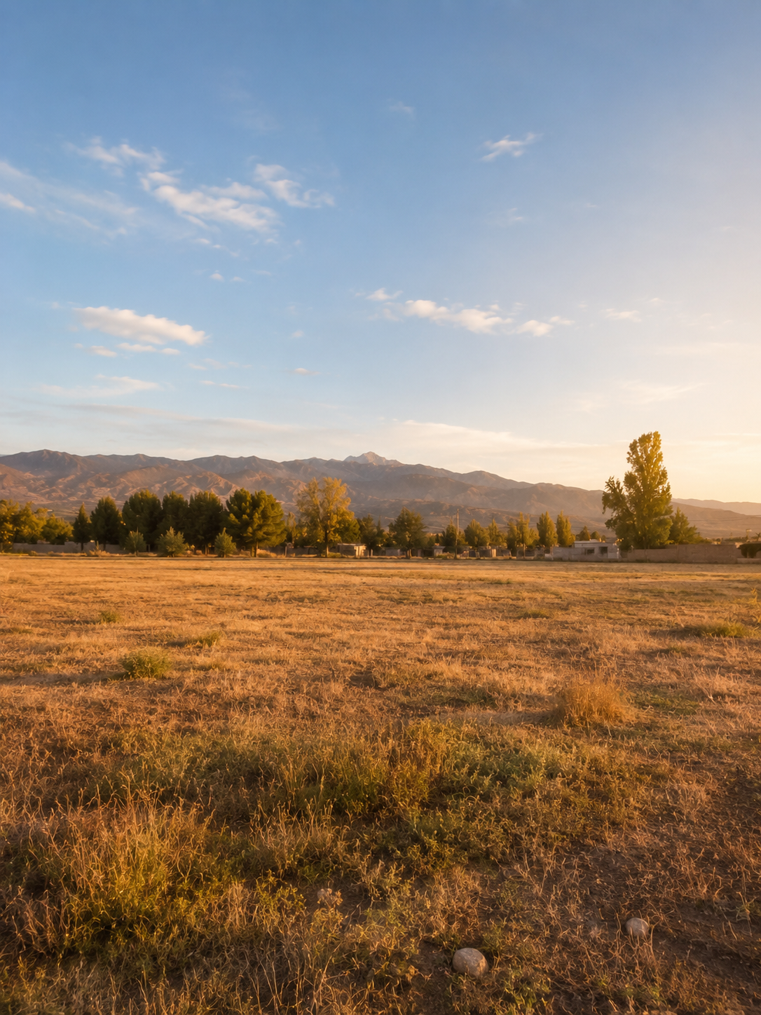 Lotes y Terrenos en San Rafael